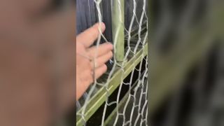Máquina de malha de arame Gabion de alta qualidade da fábrica de Jinlida, múltiplas linhas de produção